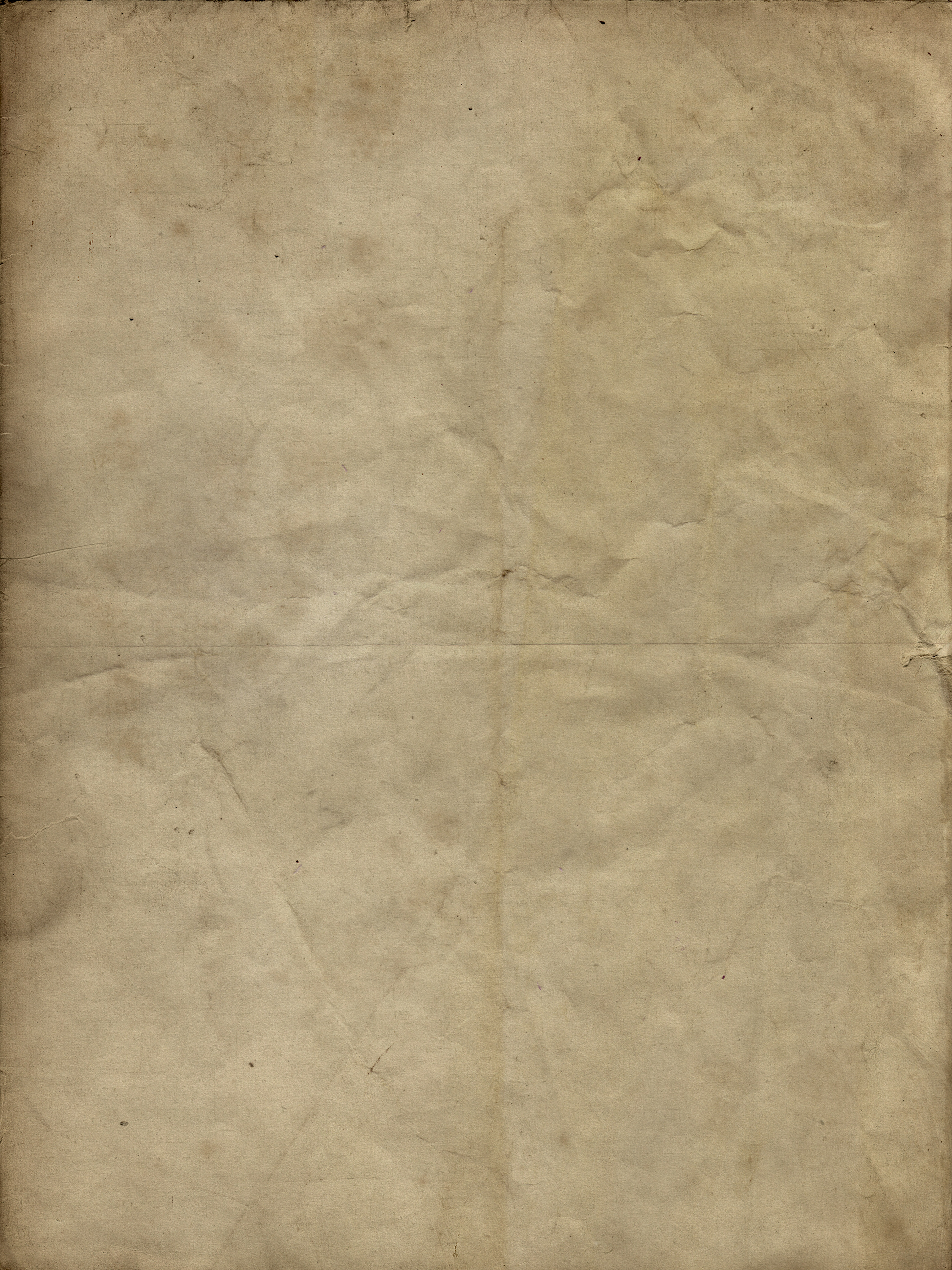 Curated Wine Selection